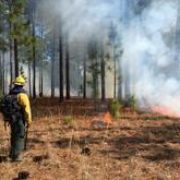 3_10_2016 North Carolina TREX: New Perspectives with Prescribed Fire and Collaboration