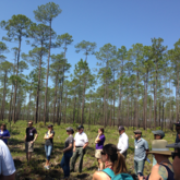 5_17_2016 National Fire Networks Meeting Emphasizes Partnerships and Fire Adapted Ecology