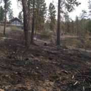 Suncrest Fire When Fire Comes Close