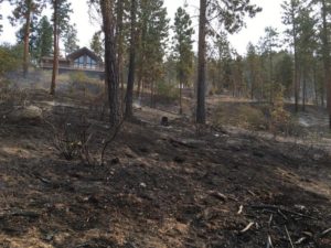 Suncrest Fire, August 2016. Photography by Brain Shurgrue