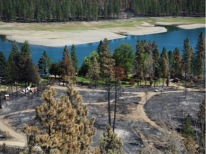 Cayse Cove, Lake Roosevelt after the Hart Road Fire. Photo credit: Val Vissia, Lincoln County Conservation District