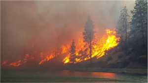 Lake Roosevelt. Photo courtesy Lincoln County Sheriff's Department