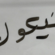 Nicole in Arabic Cultural Competency: Lessons from the National Fire Academy, Emmitsburg, MD
