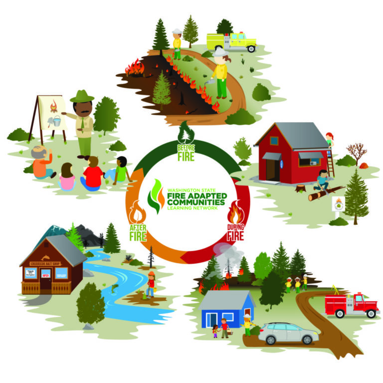 Firefighting Disaster Cycle Evolution of the FAC Cycle Graphic - Washington Fire Adapted ...